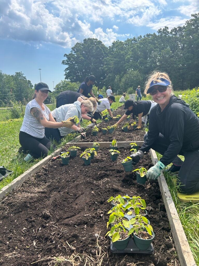 people gardening