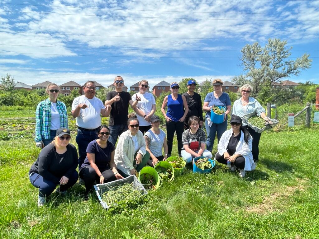 group photo of people holding up a harvest of veg